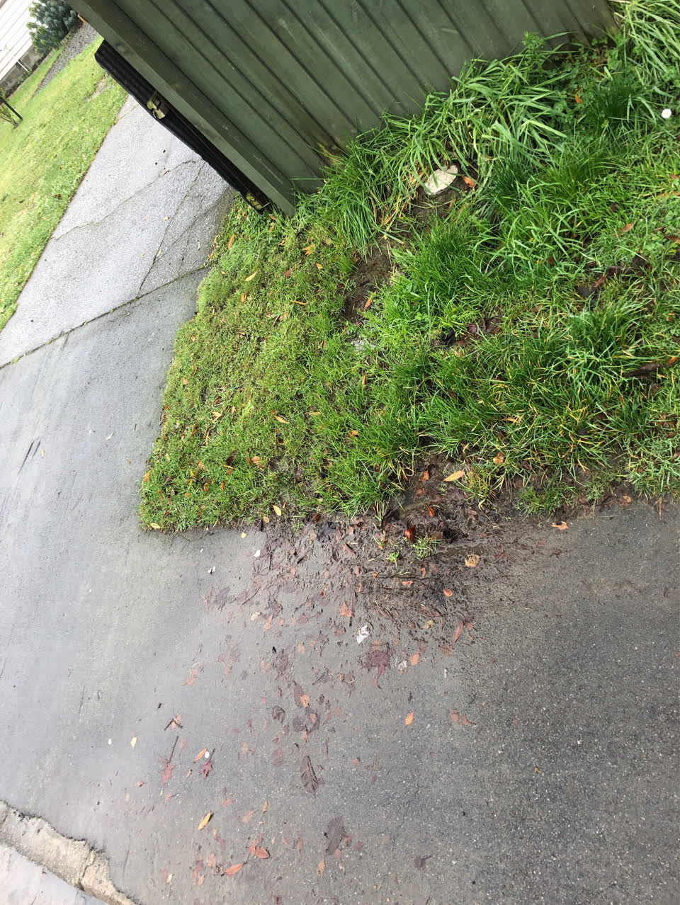 The photograph attached to this water supply report