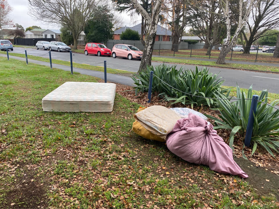 The photograph attached to this parks report