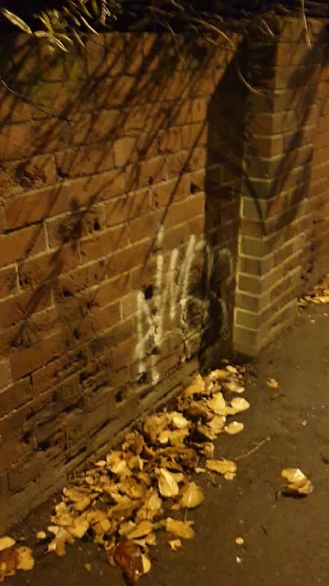 Graffiti, a report photo