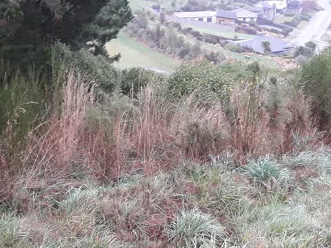 Parks, a report photo