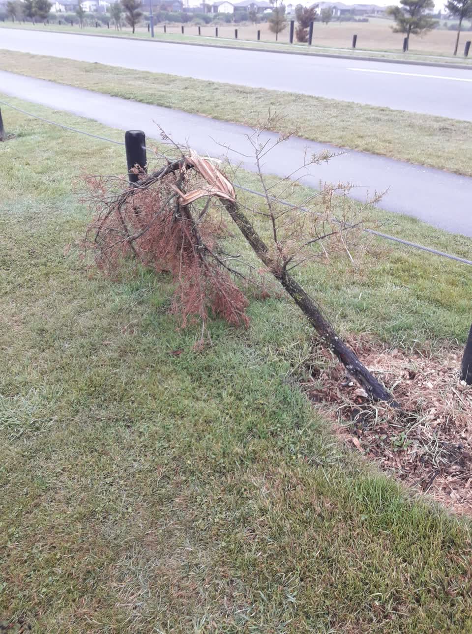 The photograph attached to this parks report