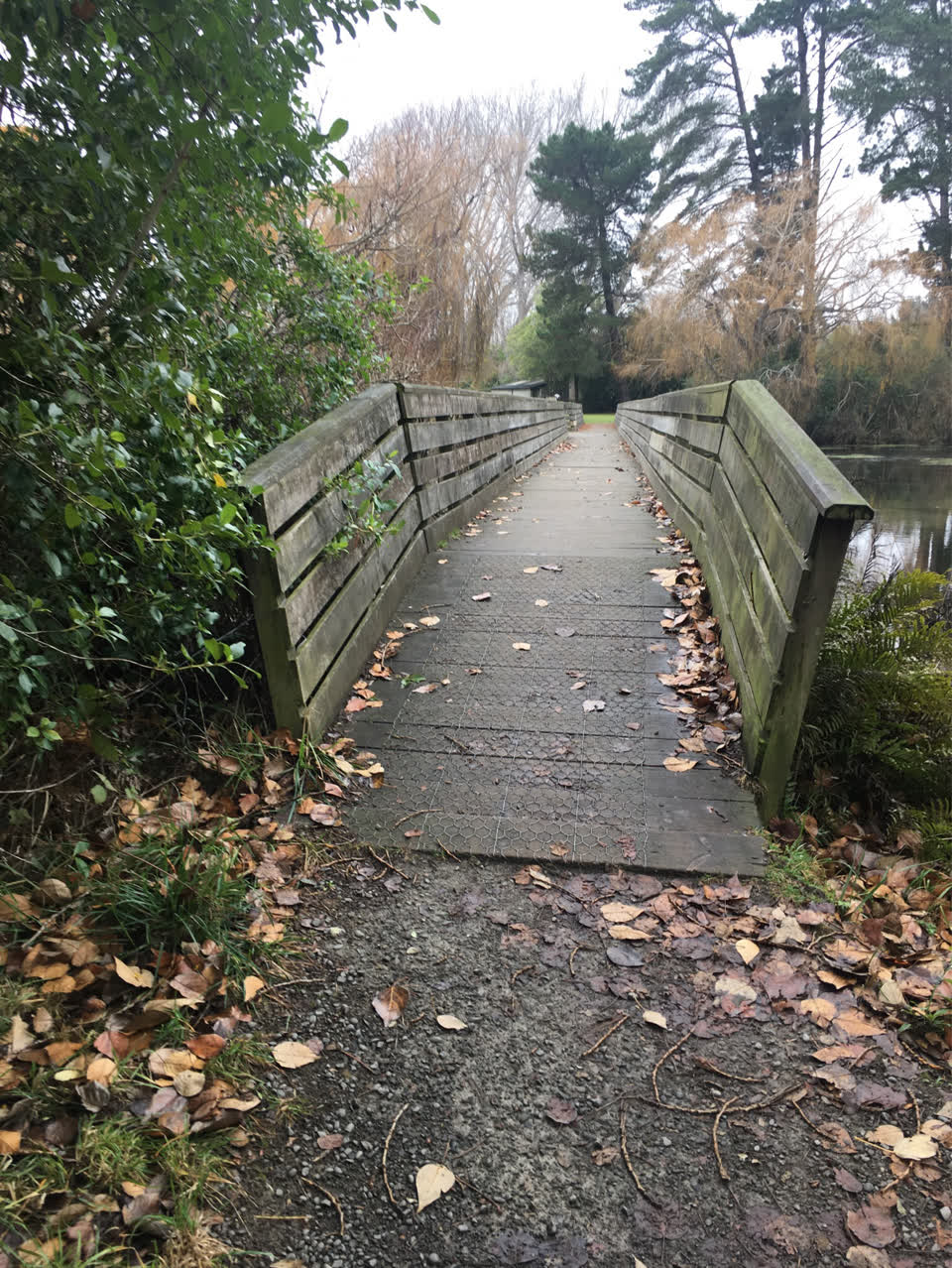 The photograph attached to this parks report