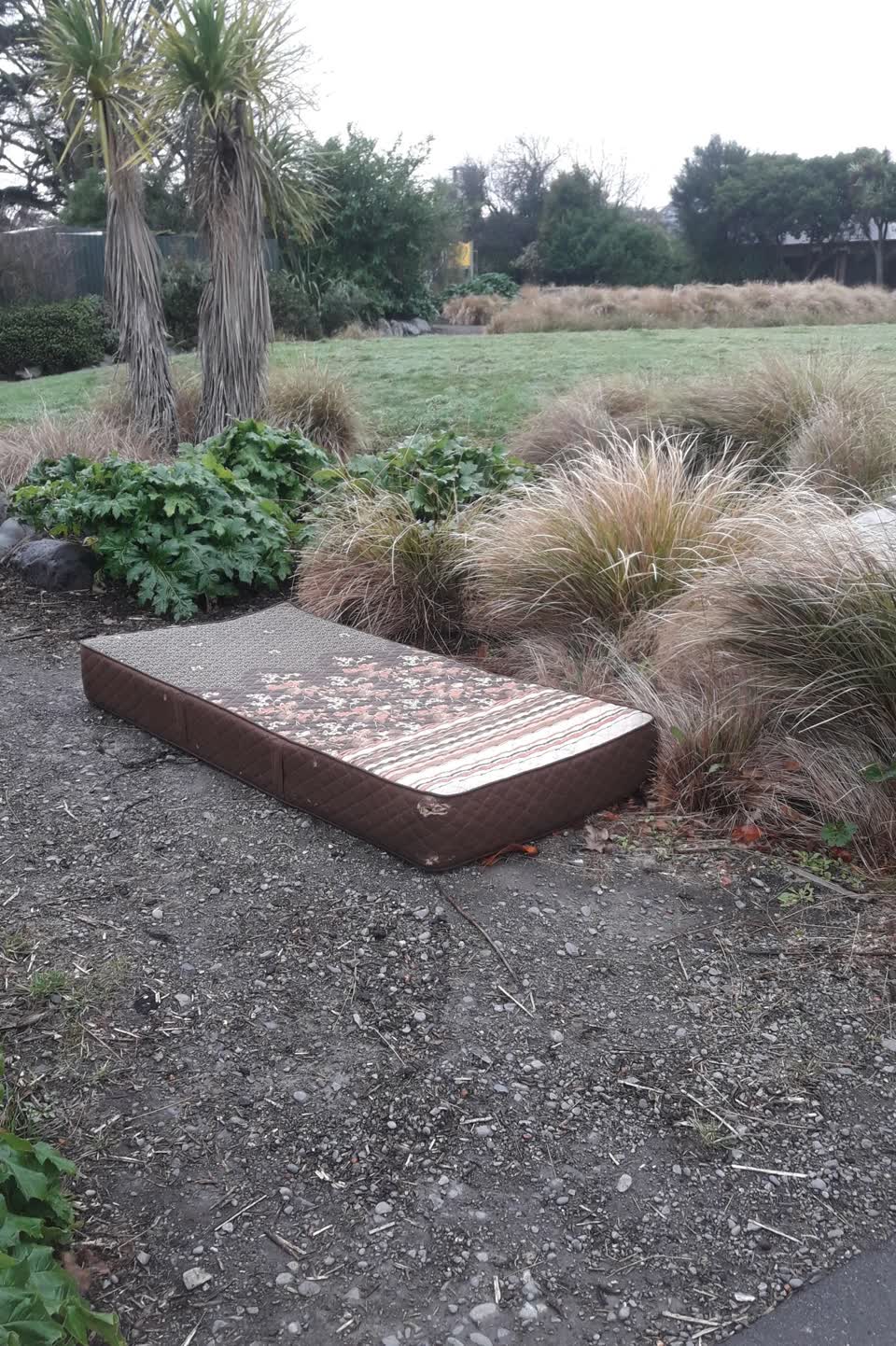 The photograph attached to this parks report