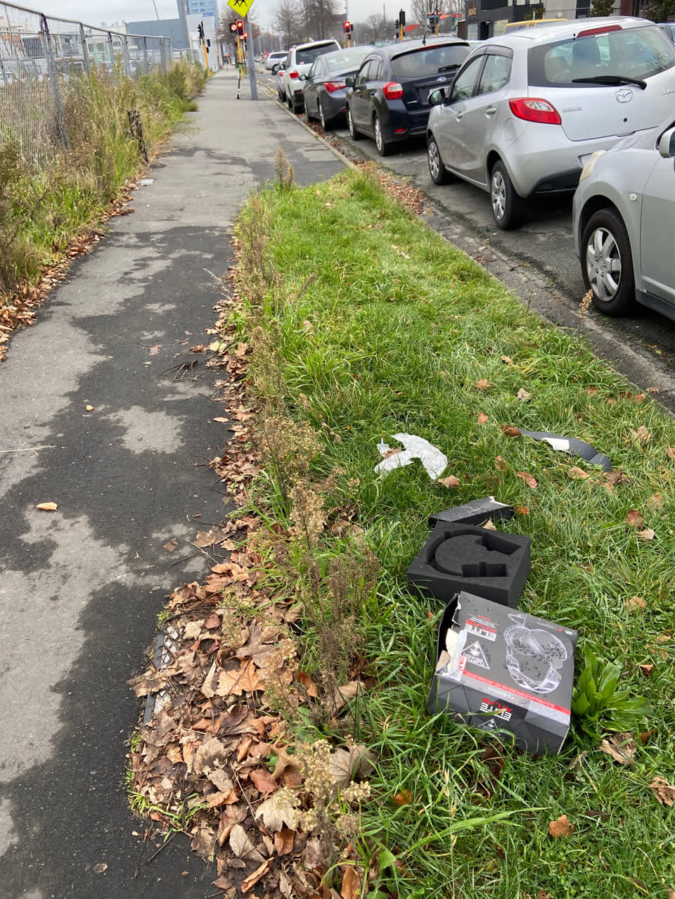 The photograph attached to this rubbish/recycling report
