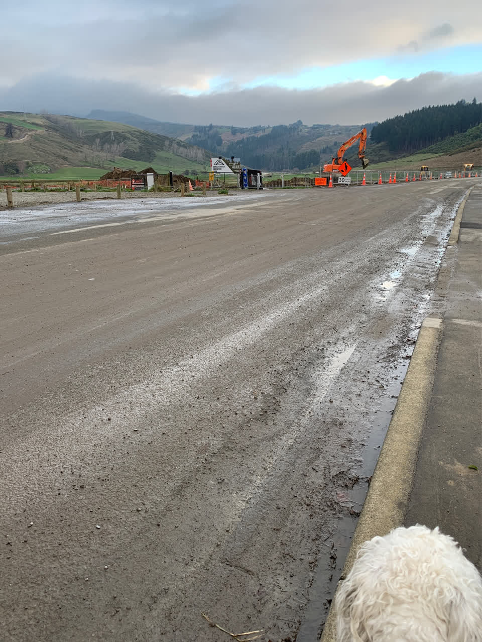 The photograph attached to this roading/streets report