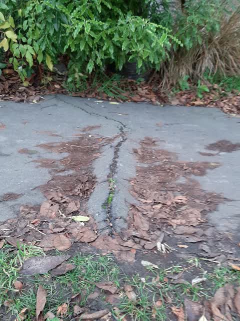 Roading/Streets, a report photo