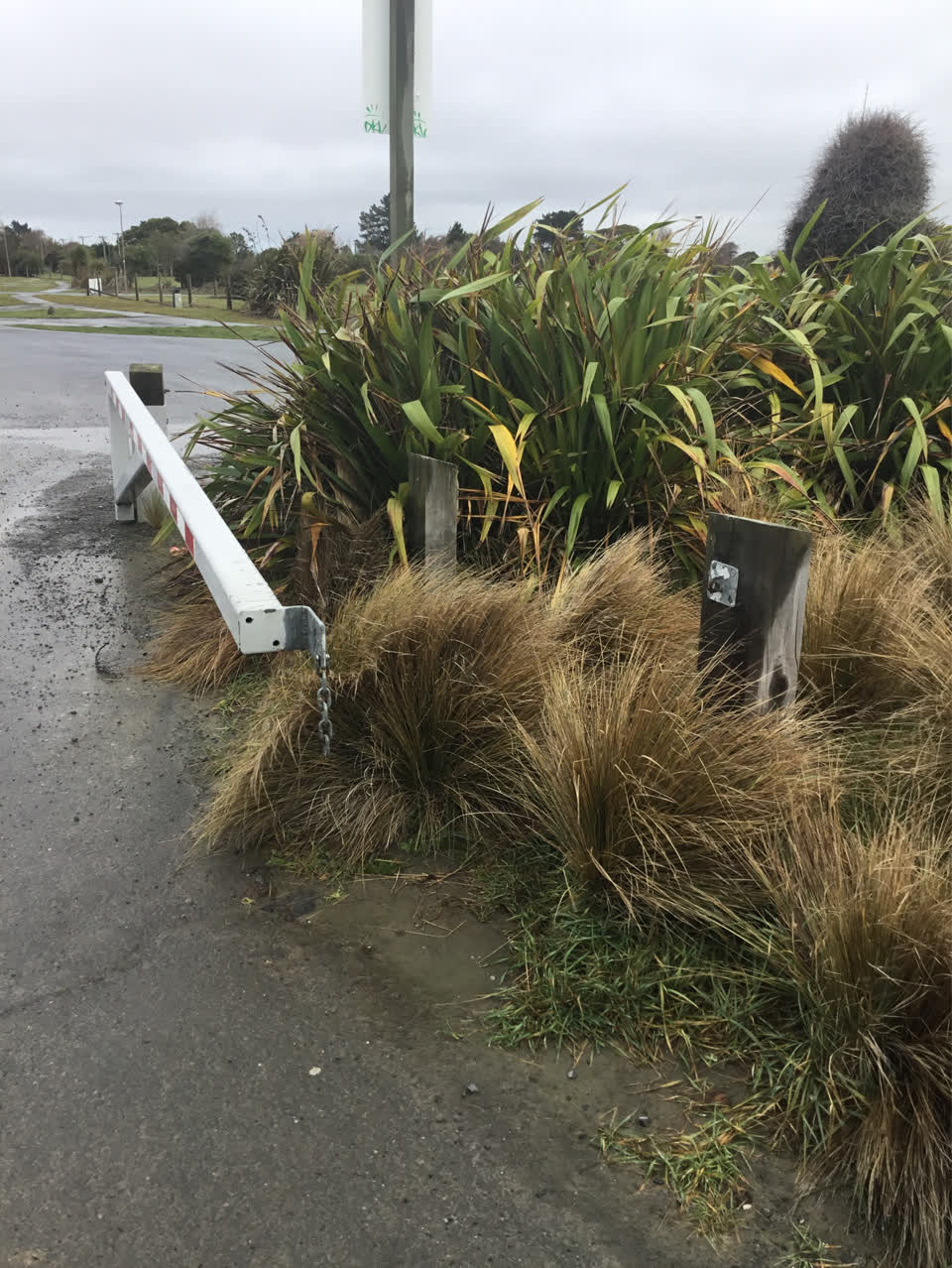 The photograph attached to this parks report