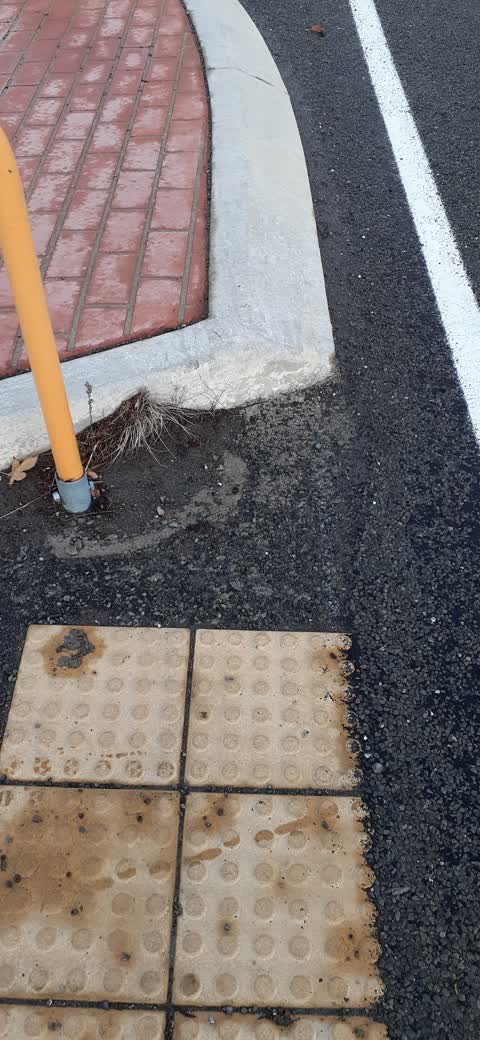 Roading/Streets, a report photo
