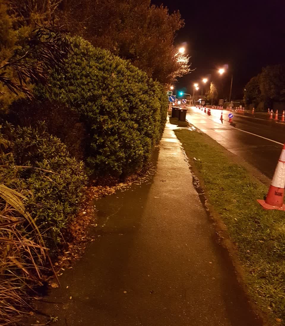 The photograph attached to this parks report