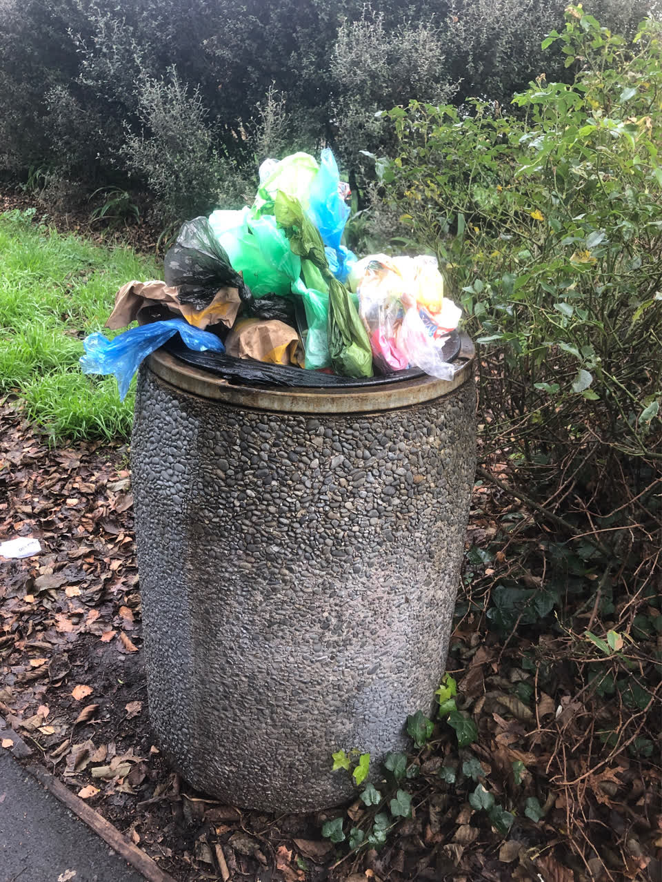 The photograph attached to this rubbish/recycling report