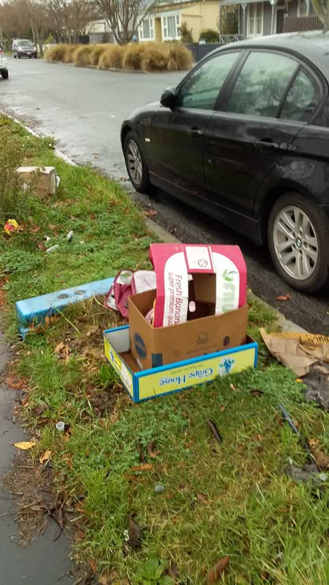 Rubbish/Recycling — a report photo