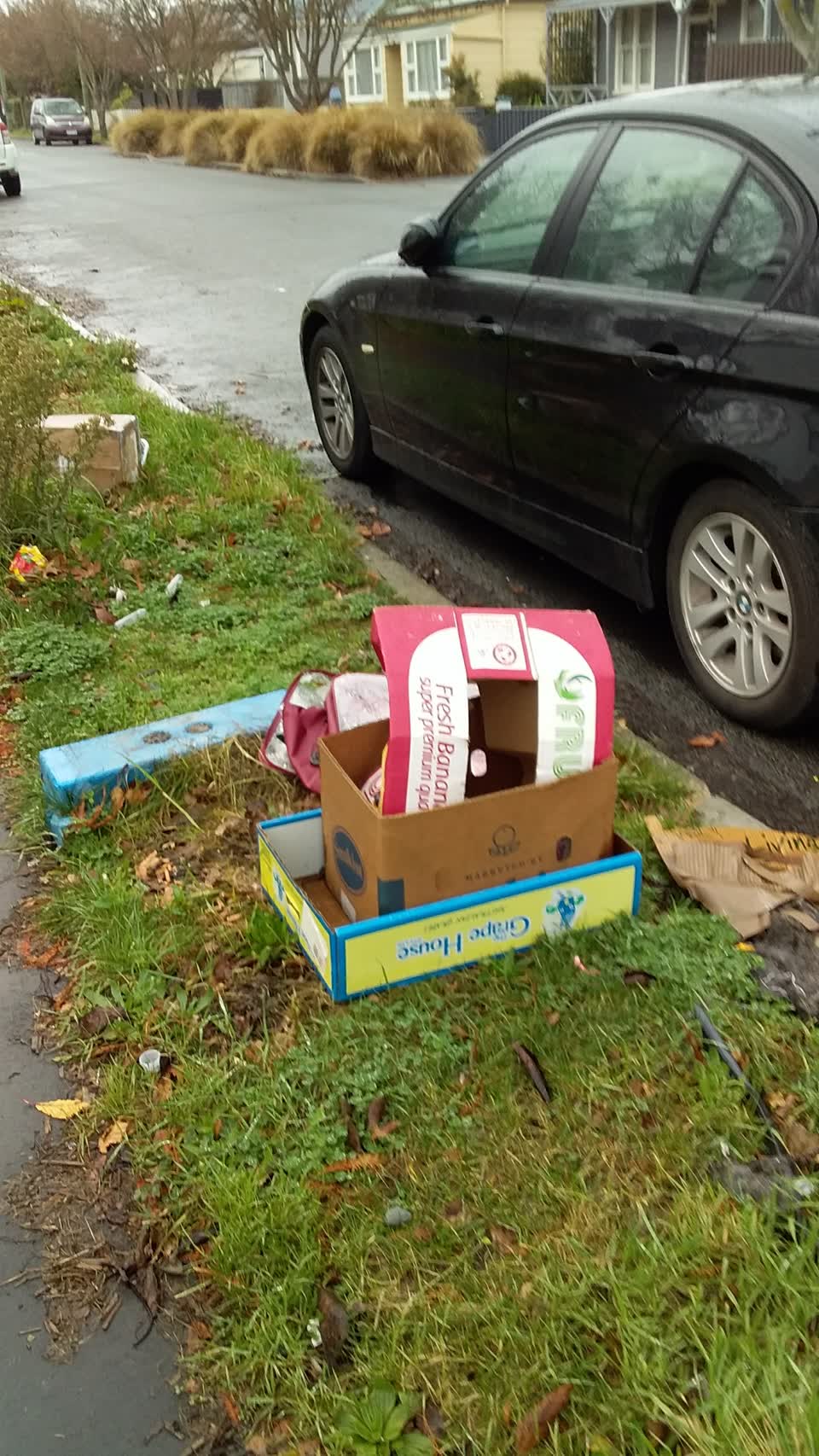 The photograph attached to this rubbish/recycling report