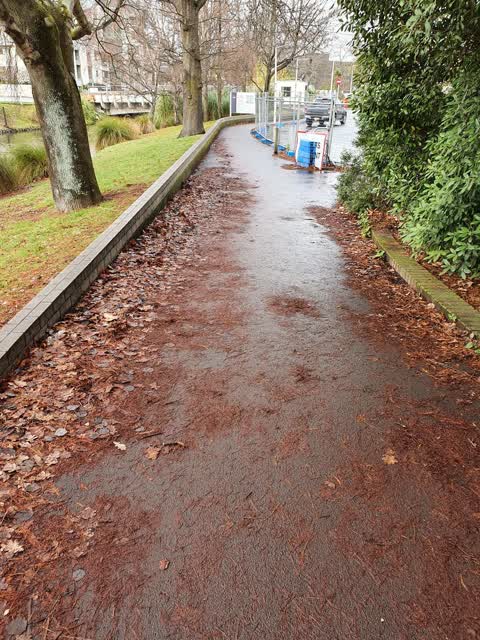 Parks, a report photo