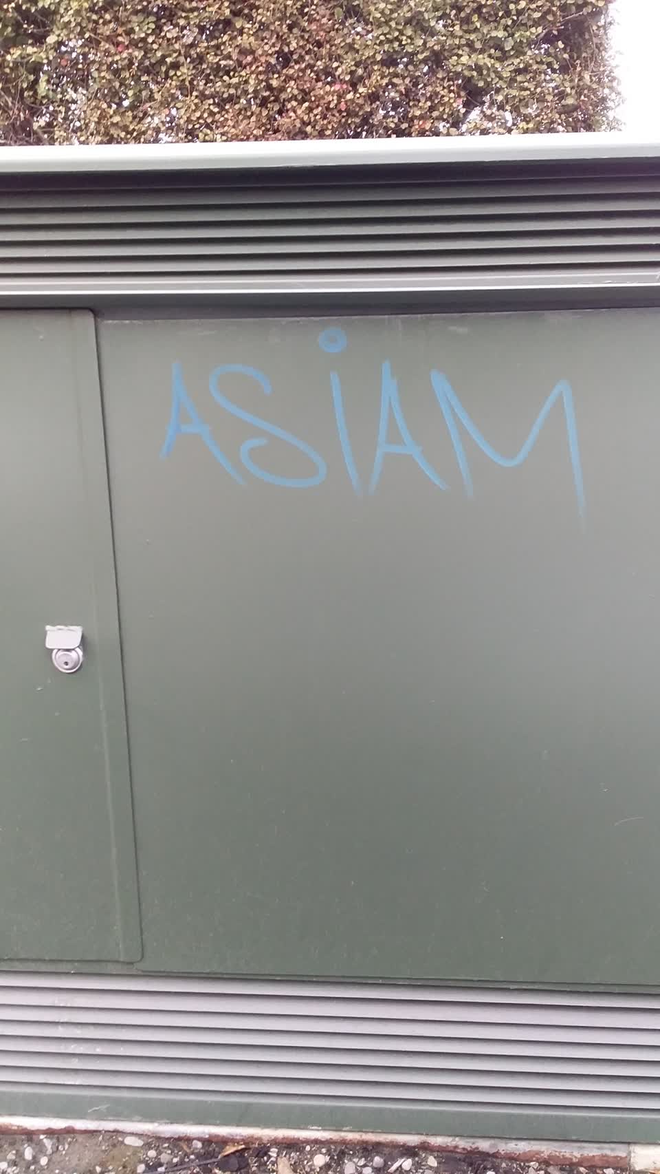 The photograph attached to this graffiti report