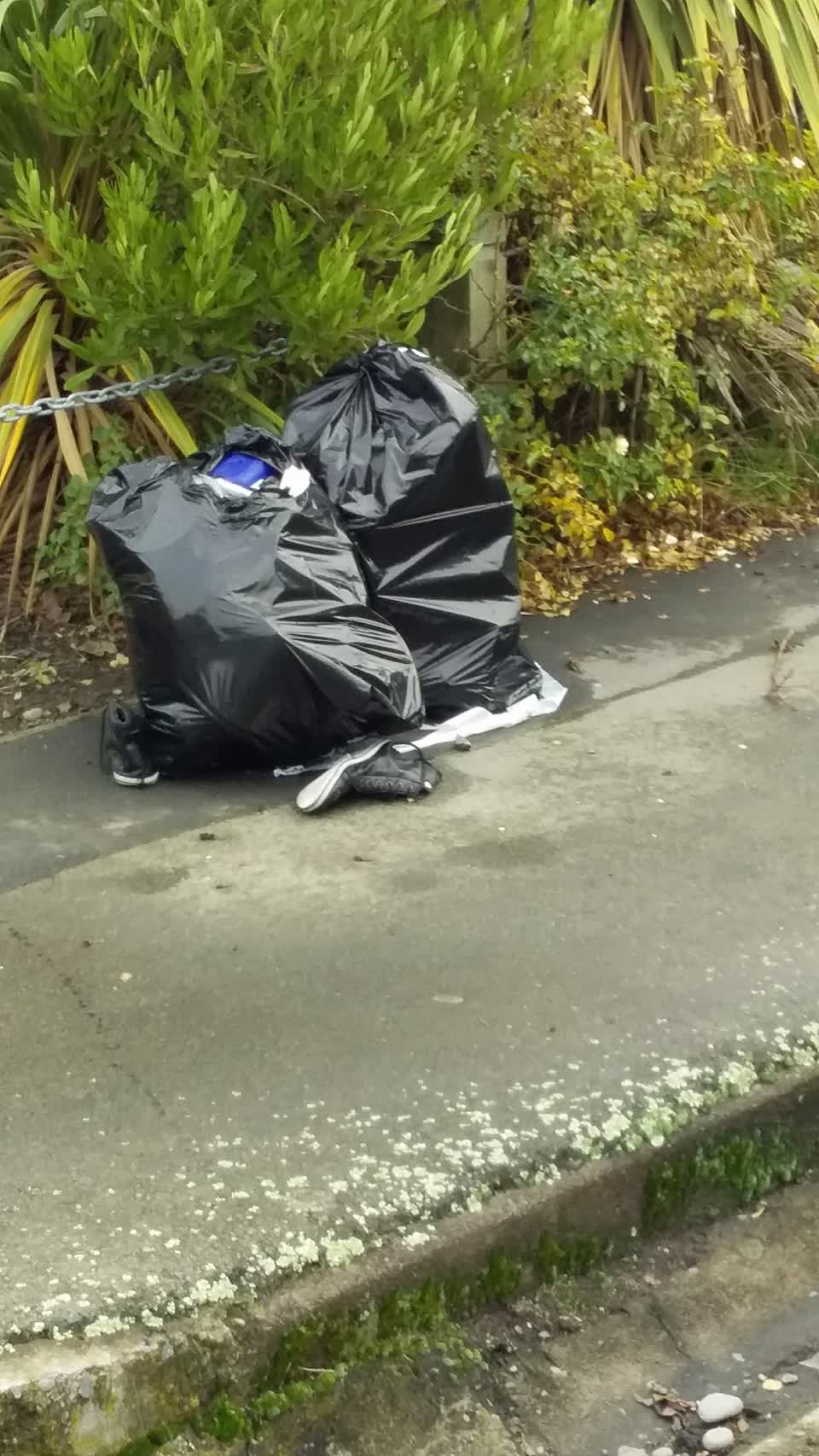 The photograph attached to this rubbish/recycling report