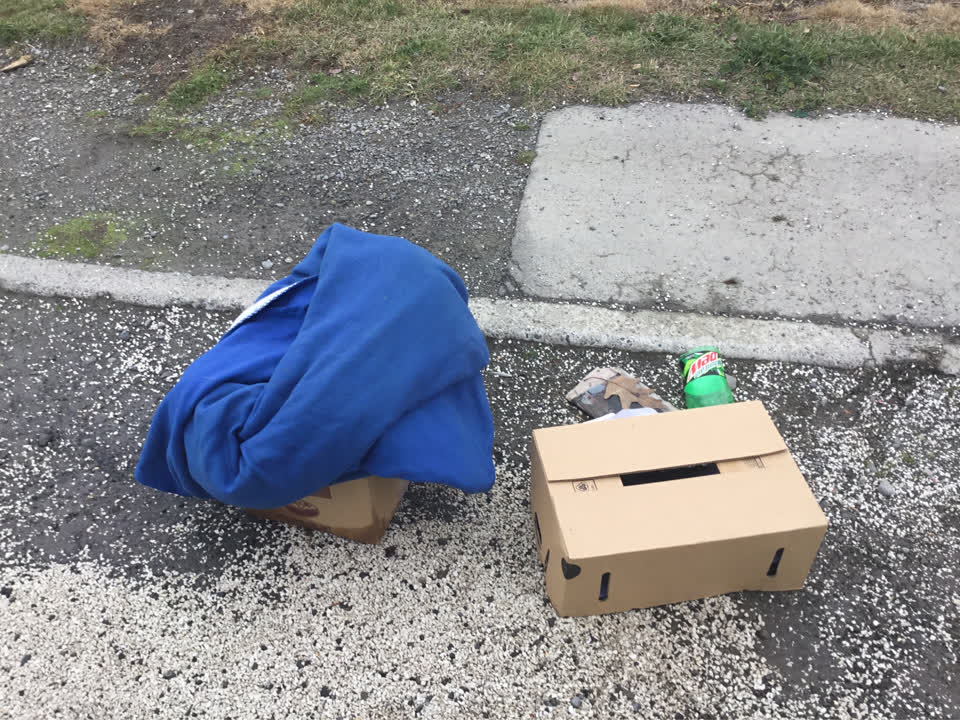 The photograph attached to this rubbish/recycling report