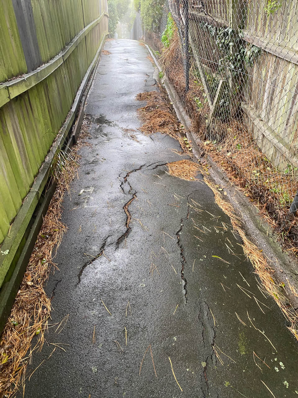 The photograph attached to this roading/streets report