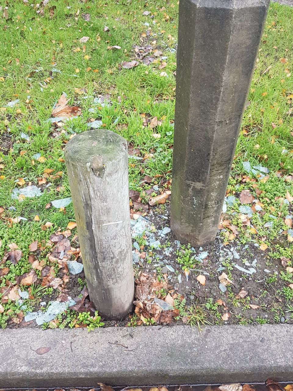 The photograph attached to this parks report