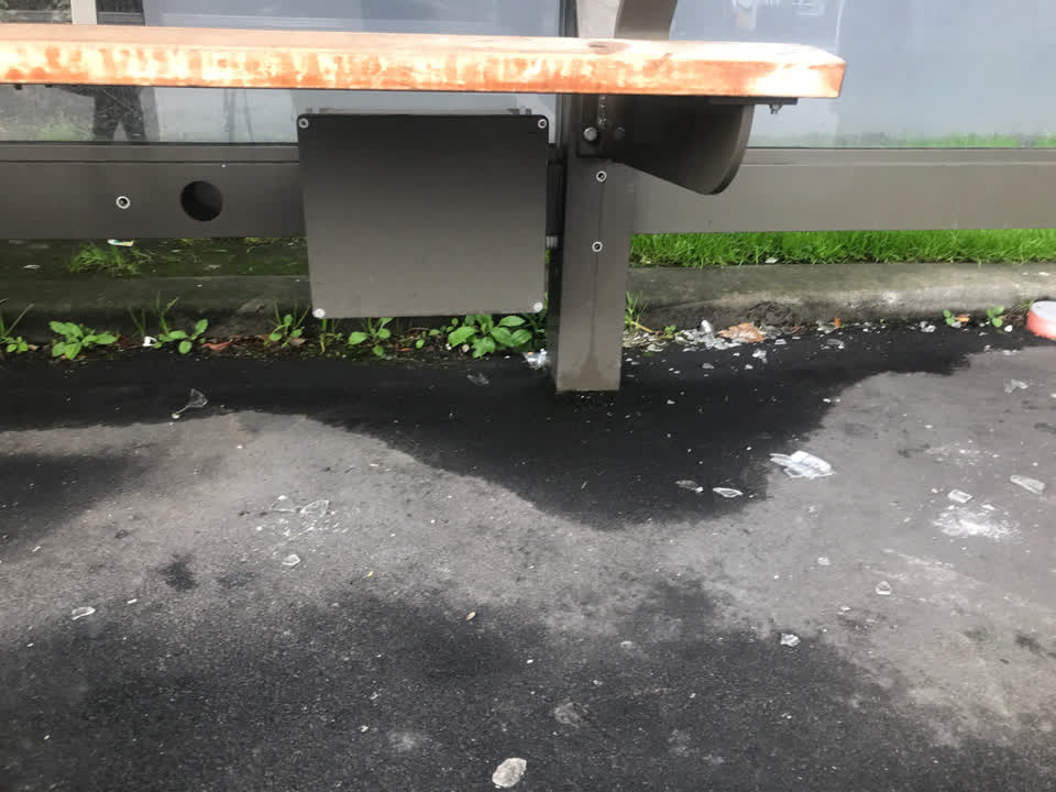The photograph attached to this parks report