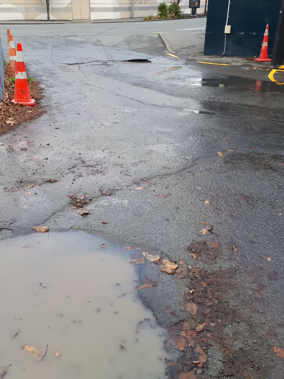The photograph attached to this parks report