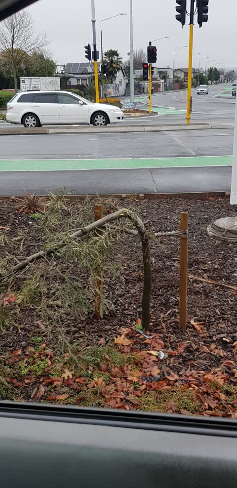 Parks, a report photo