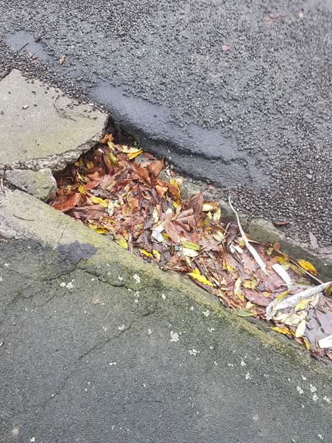 Roading/Streets, a report photo