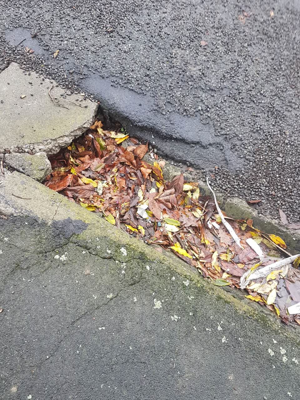 The photograph attached to this roading/streets report