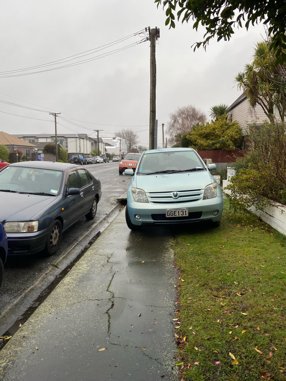 The photograph attached to this parks report