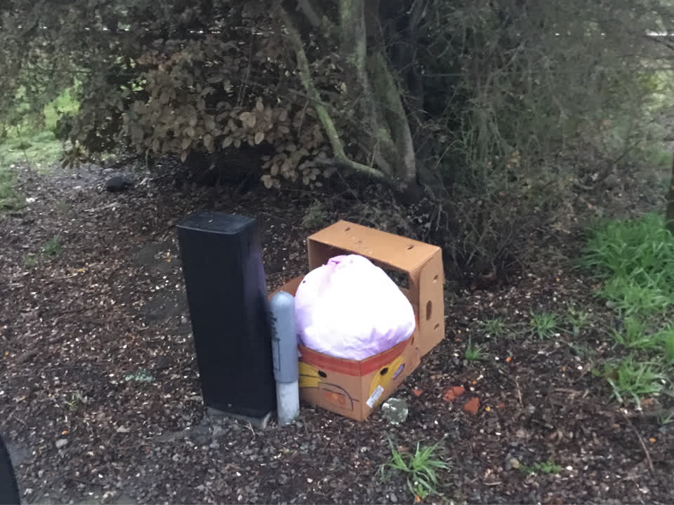 The photograph attached to this rubbish/recycling report