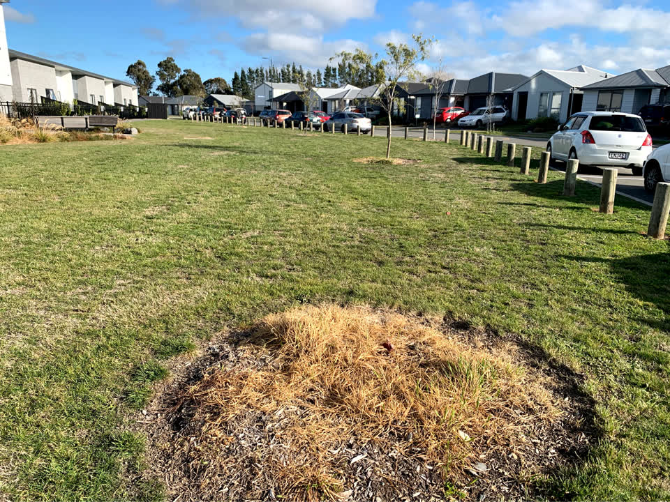 The photograph attached to this parks report