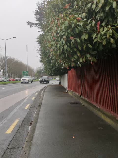 Roading/Streets, a report photo