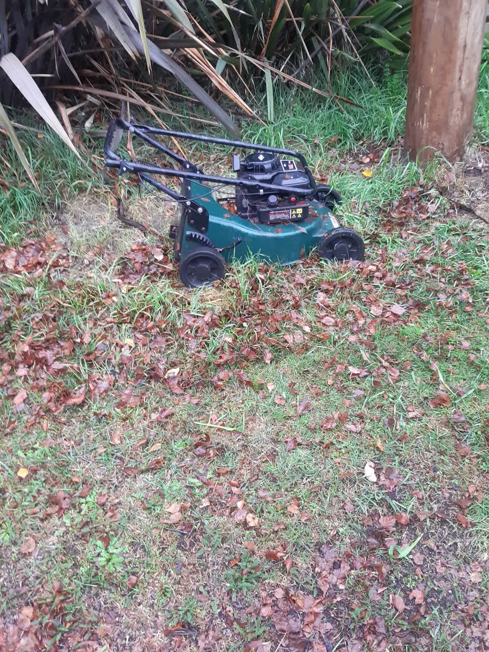 The photograph attached to this parks report