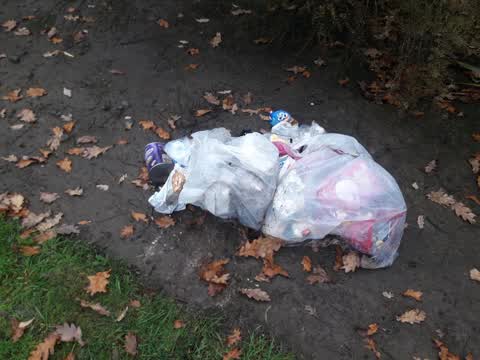 Rubbish/Recycling, a report photo