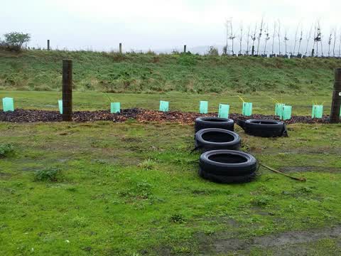 Rubbish/Recycling, a report photo