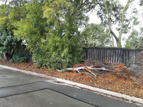 Rubbish/Recycling, a report photo