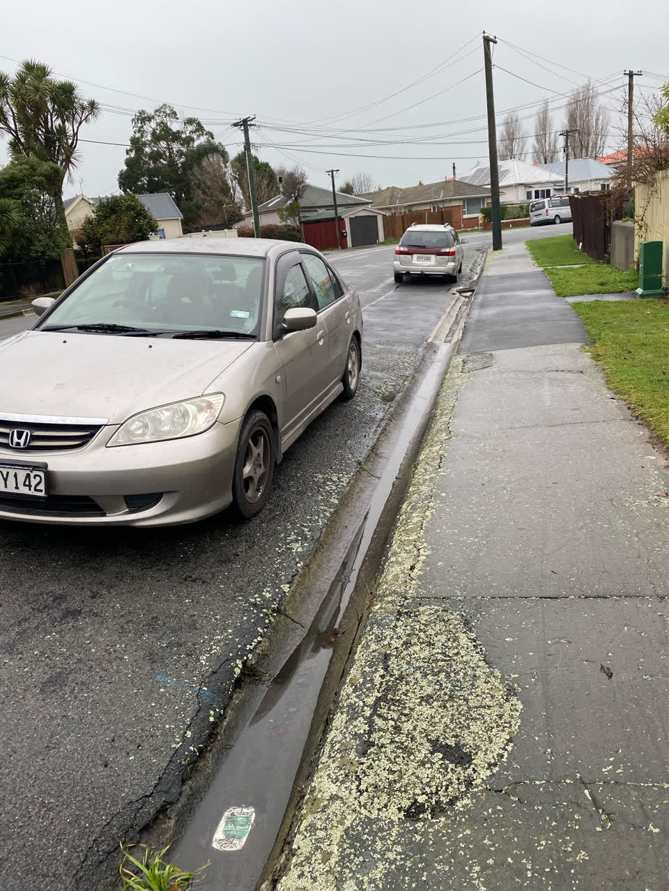 The photograph attached to this parks report