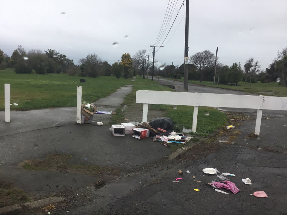 The photograph attached to this rubbish/recycling report