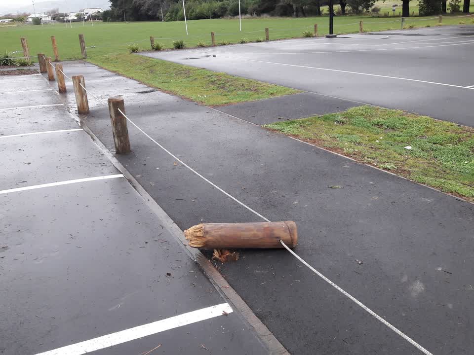 The photograph attached to this parks report