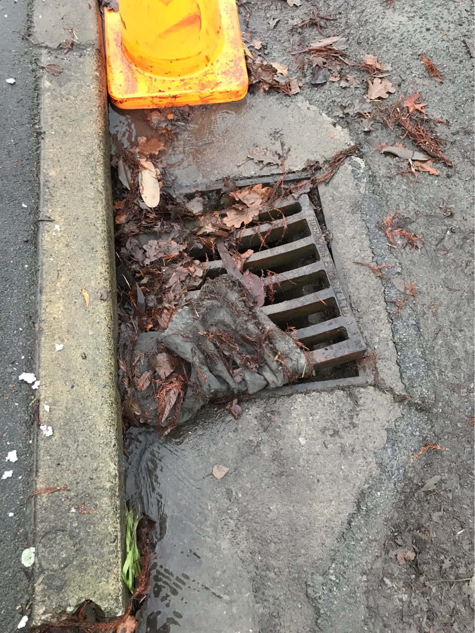 The photograph attached to this wastewater/stormwater report