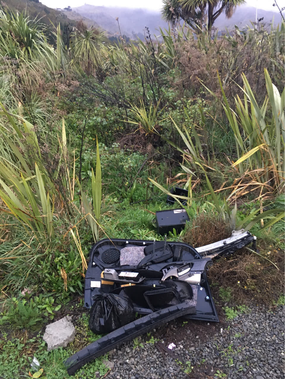 The photograph attached to this parks report