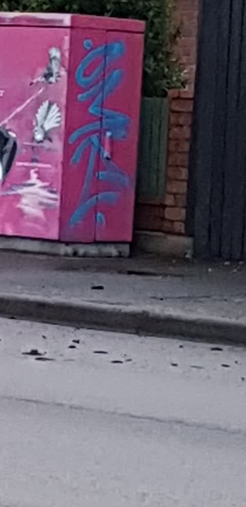 Graffiti, a report photo