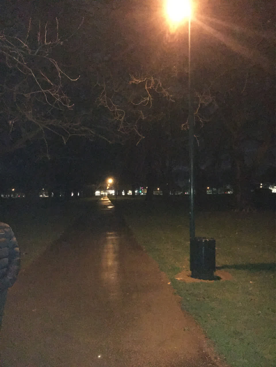 The photograph attached to this parks report
