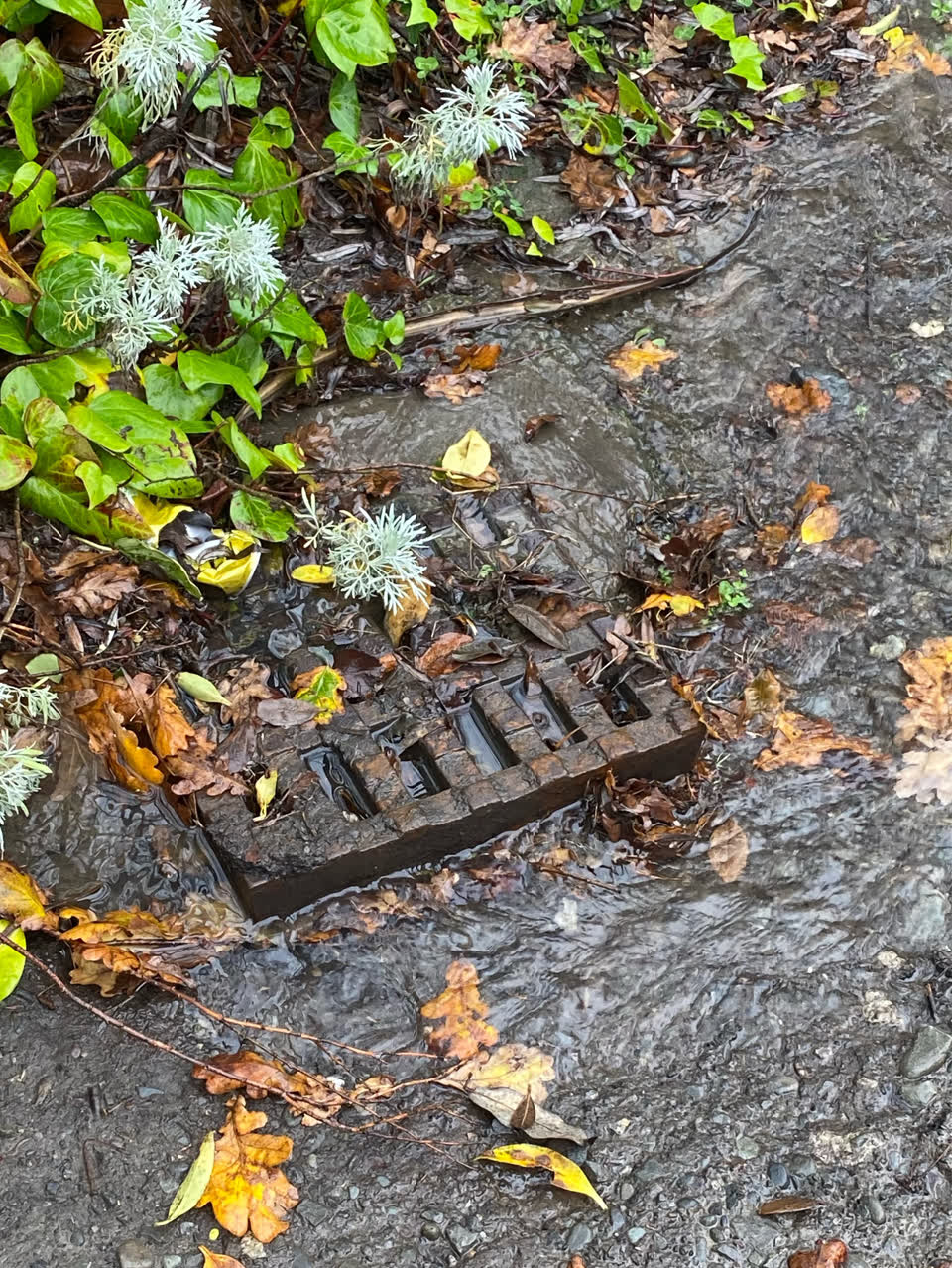 The photograph attached to this flooding report