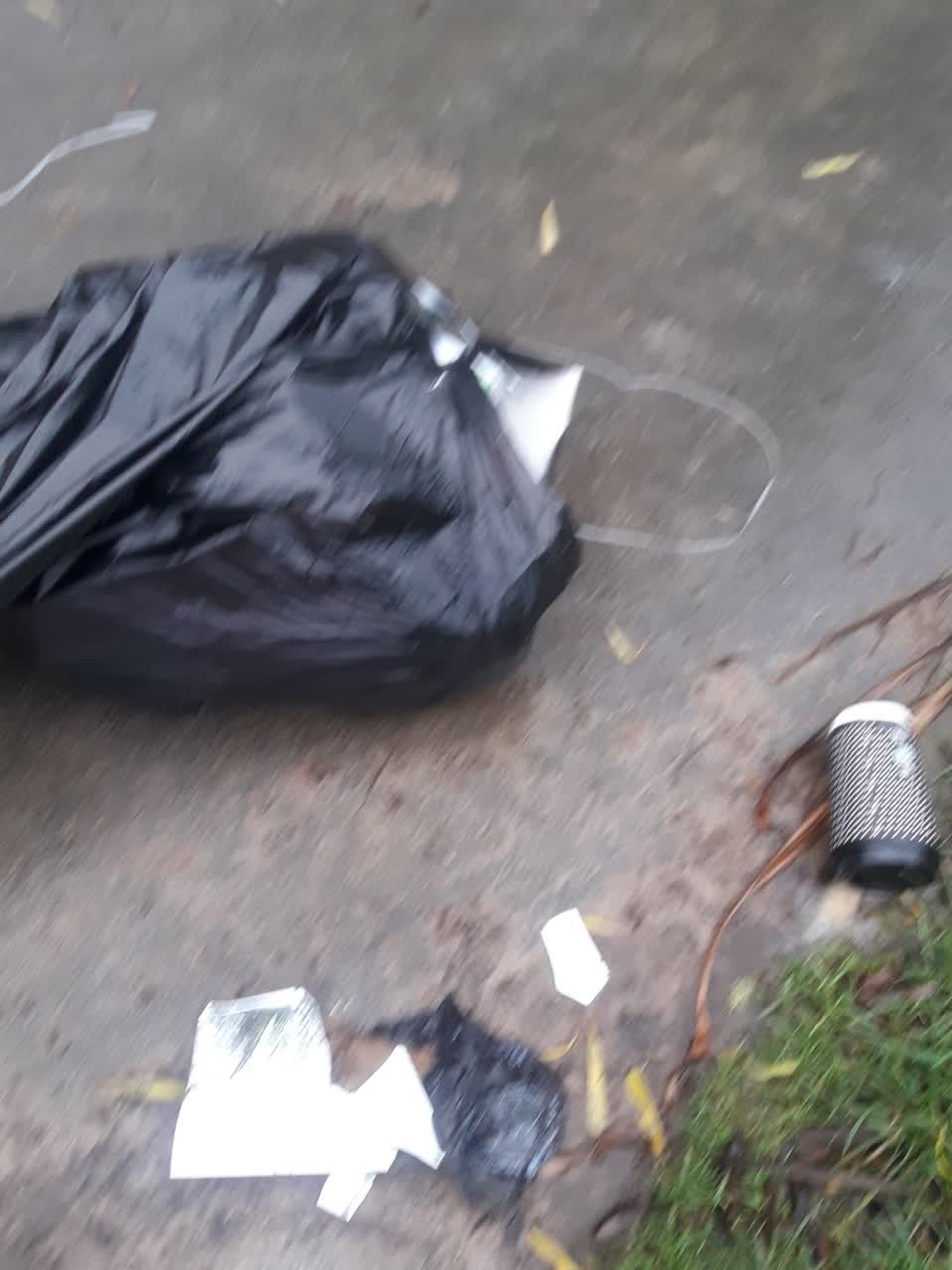 The photograph attached to this parks report