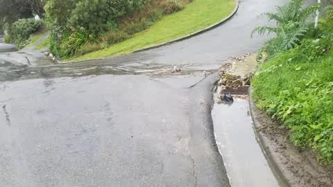Roading/Streets, a report photo