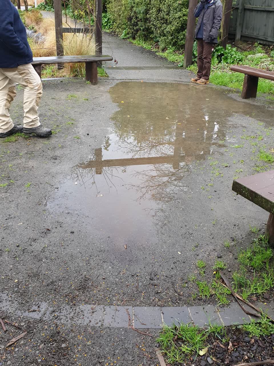 The photograph attached to this parks report