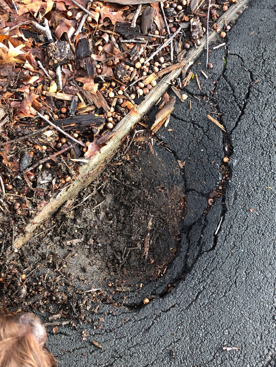 The photograph attached to this roading/streets report