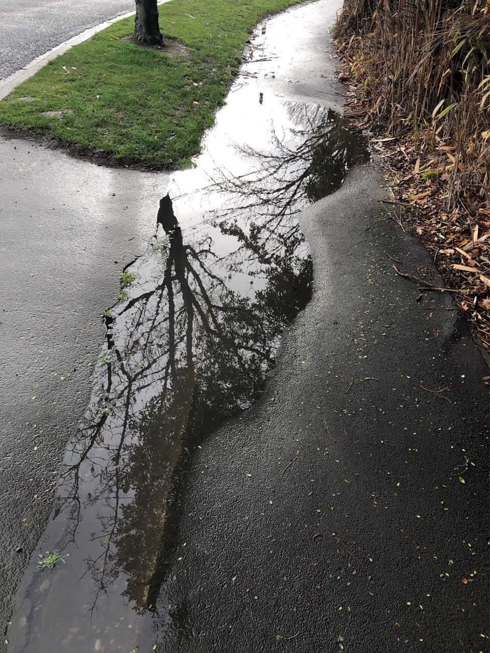 The photograph attached to this roading/streets report