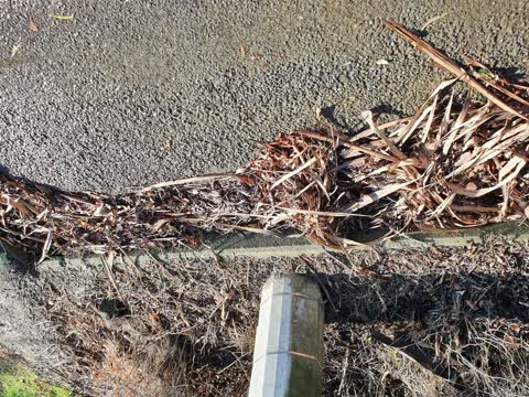 Wastewater/Stormwater, a report photo