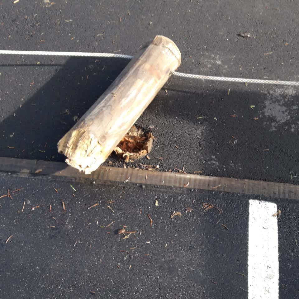 The photograph attached to this parks report